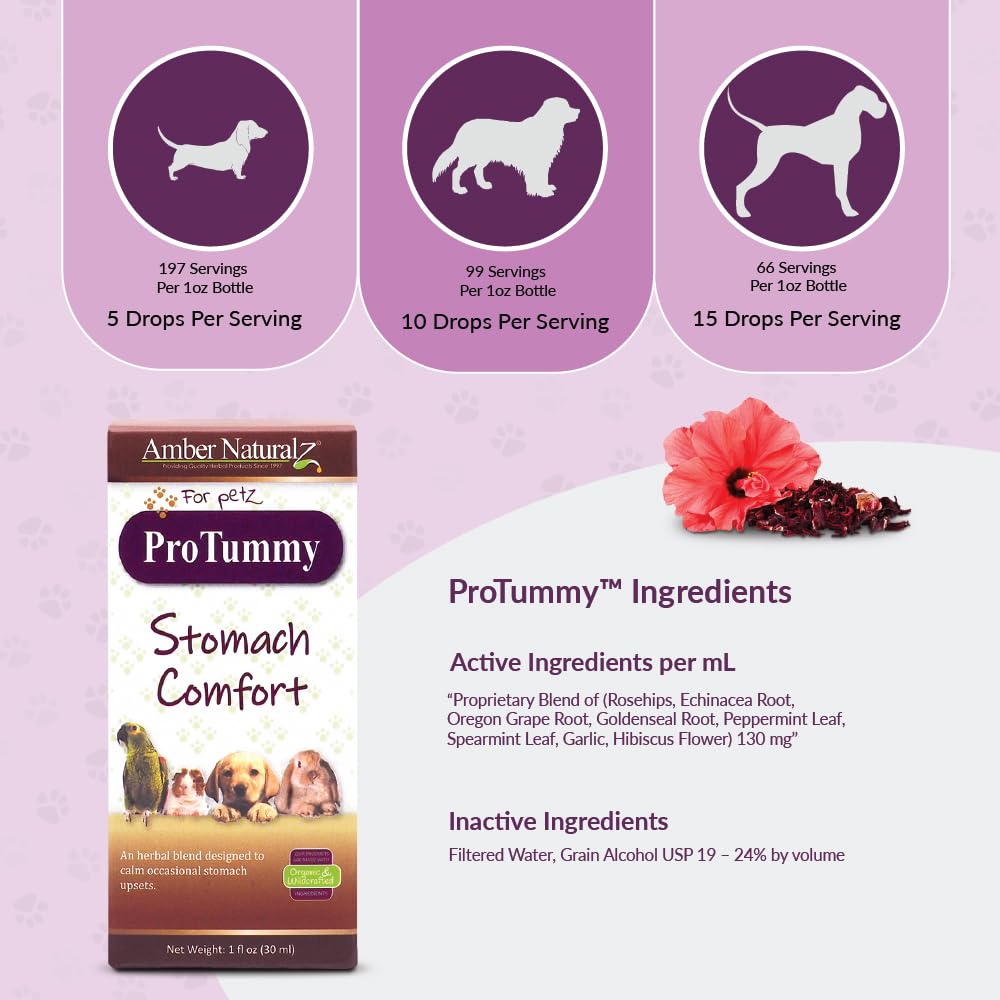 Amber NaturalZ ProTummy Stomach Comfort Herbal Blend for Dogs, Bird, Guinea Pigs, and Rabbits | Herbal Supplement for Occasional